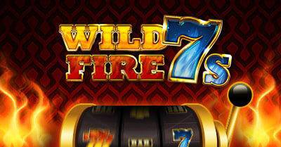 Spin Nalot wild fire 7